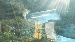 久留里線の近くで様々な姿を見せてくれる川