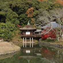 池に反射する紅葉