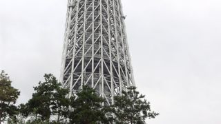 ドームガーデンがおすすめ