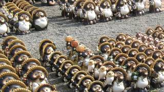 数え切れないほどの狸