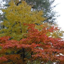 周囲の植栽が目に鮮やか