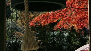 鐘楼に紅葉が似合うお寺