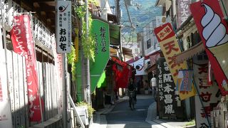 占いの店が約２０軒もあり占い師は８０人ほどもいる石切劔箭神社の参道