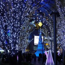 クリスマスイルミネーション・メインクリスマスツリー