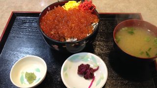 取れたての魚や貝類を使った海鮮丼が有名で、とくにおすすめは、いくら丼ですね、