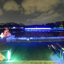 池の周りに施されたイルミネーション