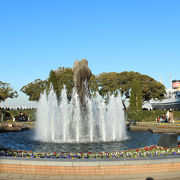 港に面した広い公園