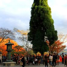 六芒星に並ぶ行列