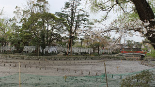 行った時には水がなかった