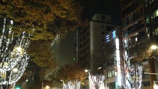 広小路を綺麗に飾るイルミネーションです!!