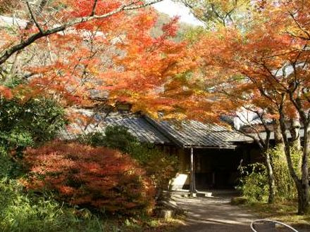 亀の井別荘 写真