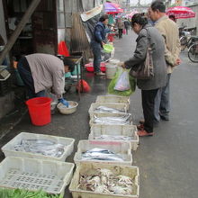 瓦礫の中で商売をする。