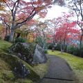 紅葉広がる庭園は圧巻