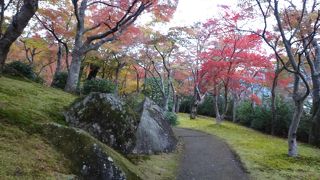 紅葉広がる庭園は圧巻