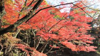 さすがは水戸藩