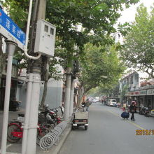 プラタナス並木の路です。