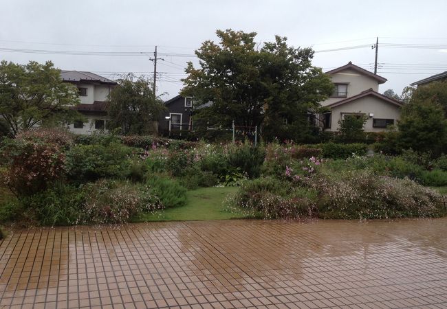 メディカルハーブガーデン生活の木薬香草園 クチコミ アクセス 営業時間 飯能 フォートラベル メディカルハーブガーデン生活の木薬香草園 クチコミ アクセス 営業時間 飯能 フォートラベル