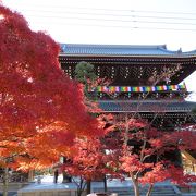 紅葉が見事でした。「八重の桜」の会津藩墓地。