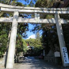 丸太町通に面した鳥居。