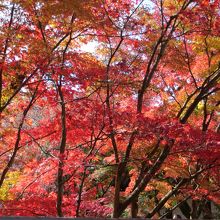 どこを見ても綺麗。