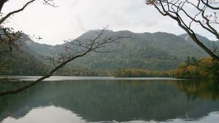 紅葉が綺麗なところ