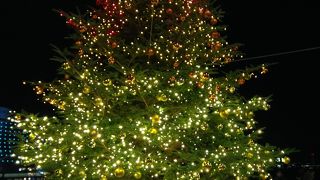 クリスマスが良く似合います!!