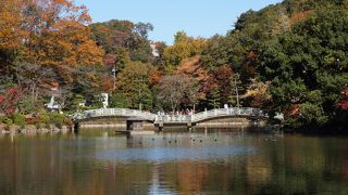 町田で紅葉狩り