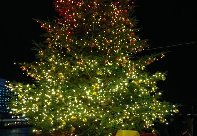 モザイク ロマンチッククリスマス クチコミ アクセス 営業時間 神戸 フォートラベル