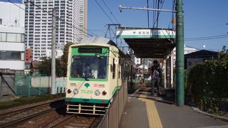 小説家や音楽家など文化人が眠る墓所が沢山ありま～す。