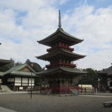 均整のとれた美しい姿です