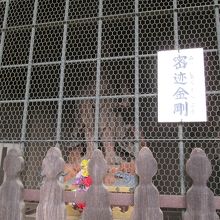 左手は密迹金剛像