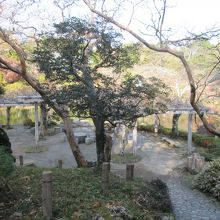 藤棚なんかもあります