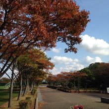 この先 右側に美術館あり