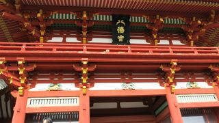 鳩が隠れています