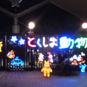 夜の動物園