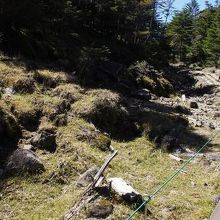 山頂ロープウェーから山荘に至る道は木道で整備されています。