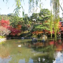 水面にもみじの赤。