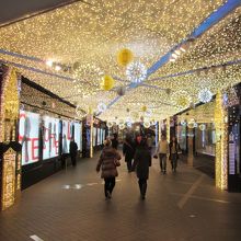 ロッテ百貨店 (明洞本店)