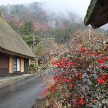 綺麗な原風景です。