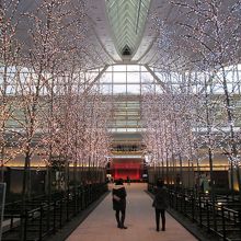羽田空港 国際線旅客ターミナル