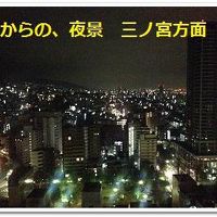 めっちゃ綺麗でした。