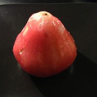 ウェルカムフルーツにあったワックスアップル