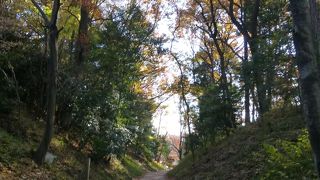 鎌倉時代の主要道路