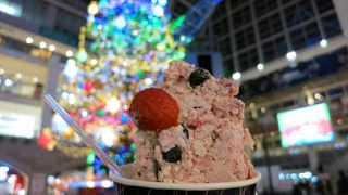 クリスマスイルミを間近で眺めながらのアイス