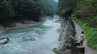 祖谷渓はとってもひろいです