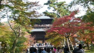 紅葉には少々早かった