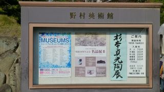 収集品を展示しています