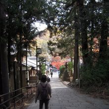 下り　コース１　ケーブルカー駅のそば