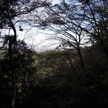 コース４からの展望はほとんどだめ、紅葉を味わう