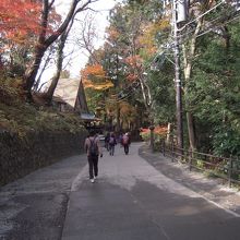 薬王院までは舗装されている